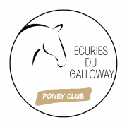 Ecurie du galloway logo 1